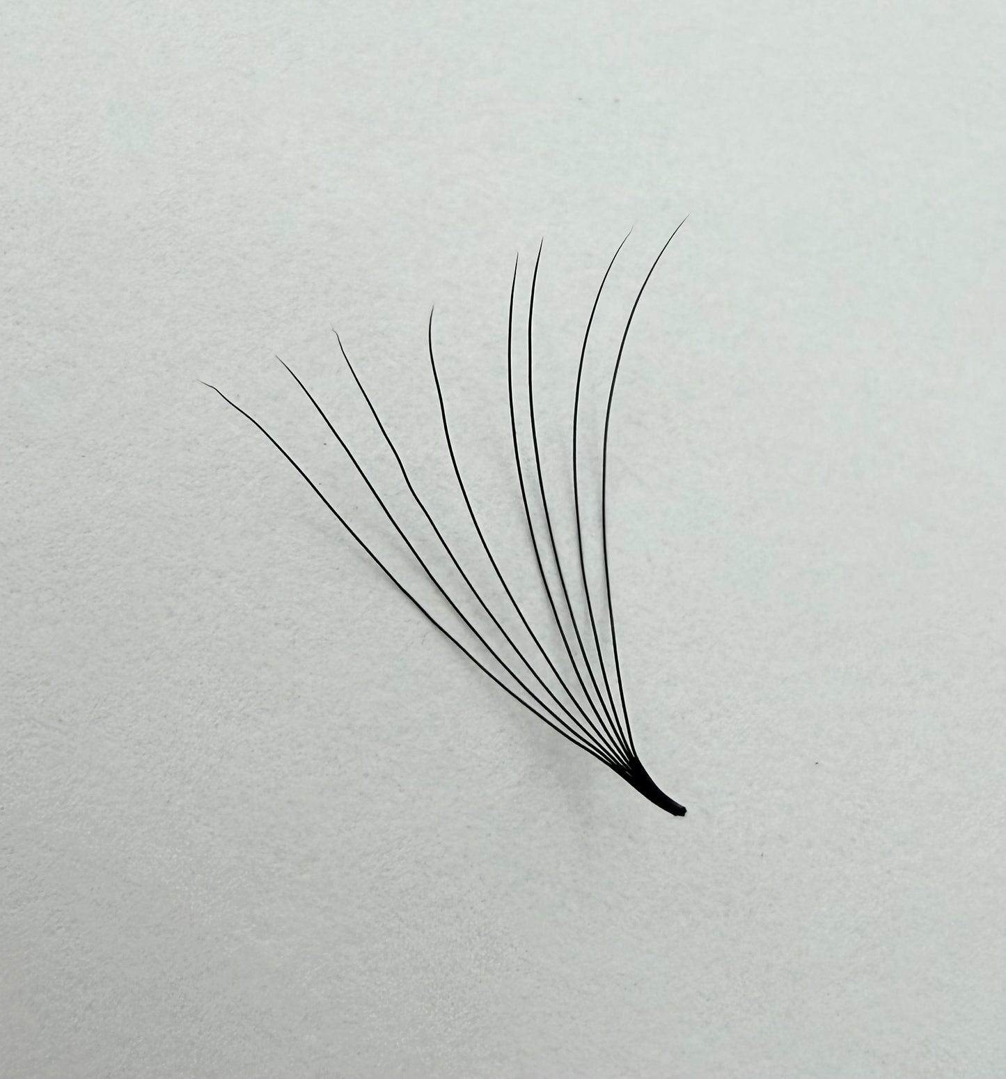8D Promade Fans Mix Lengths (8mm-15mm) 1000 Fans