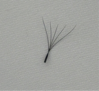 W-Lashes : Curl D Mix Length