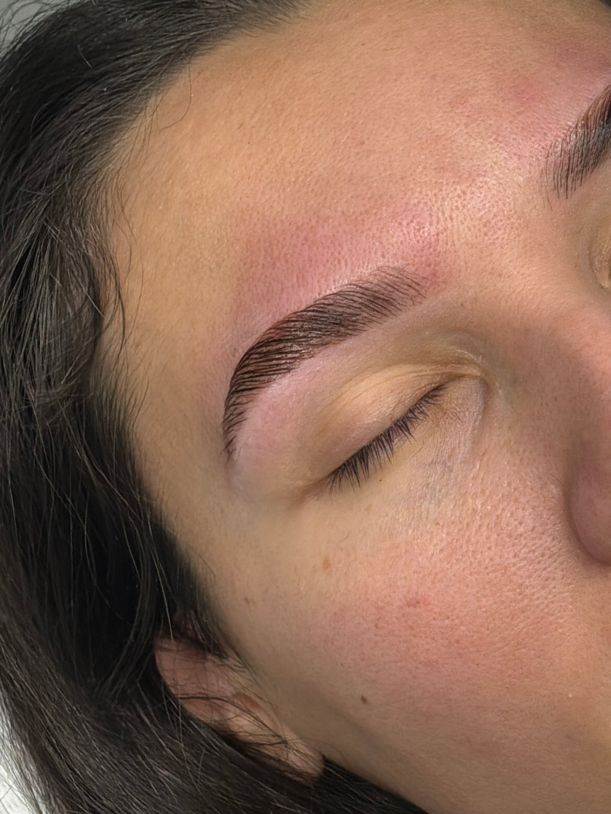 Full Brow Service Certification Class