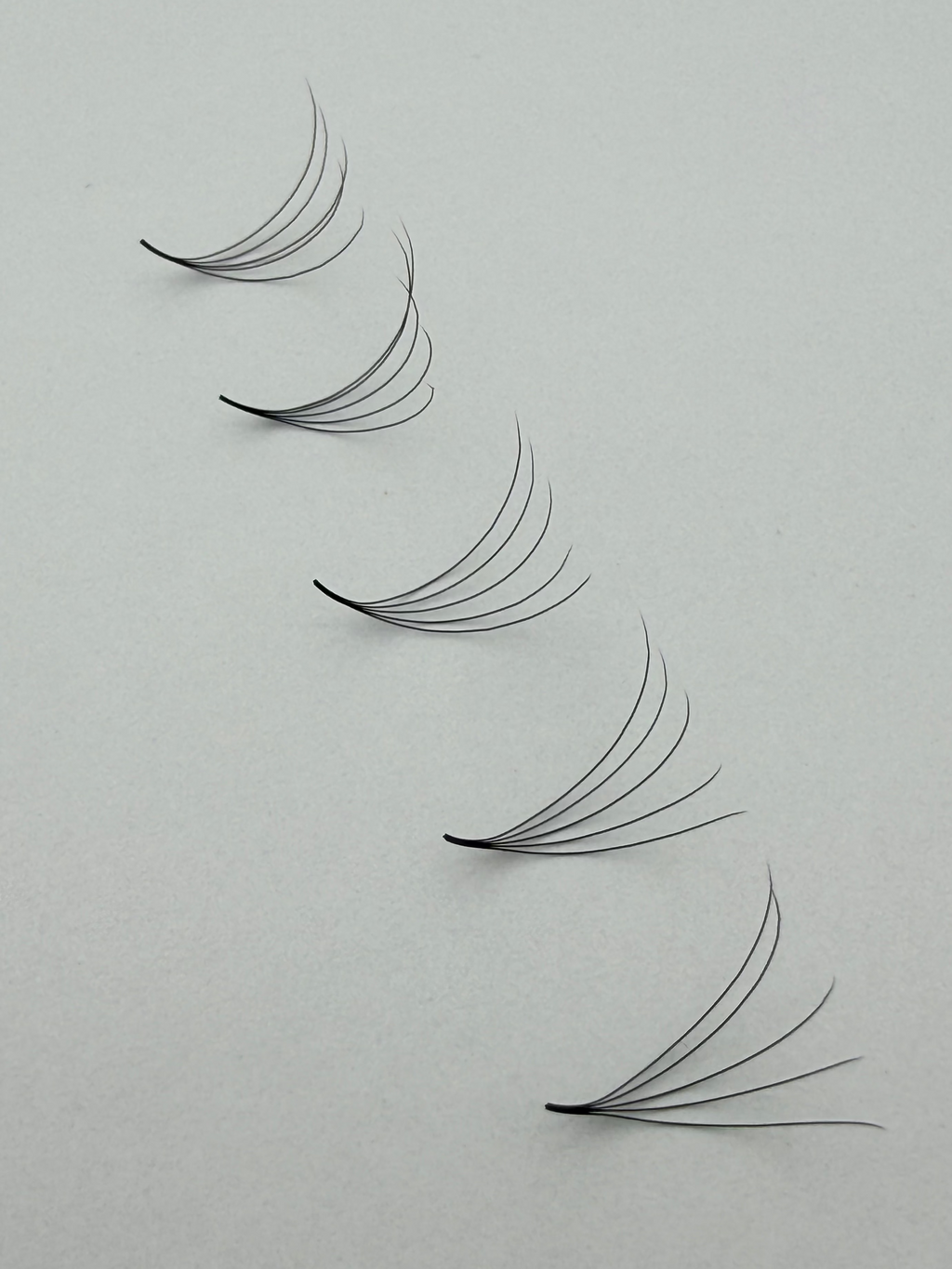 5D Promade Fans Mix Lengths (8mm-15mm) 1000 Fans