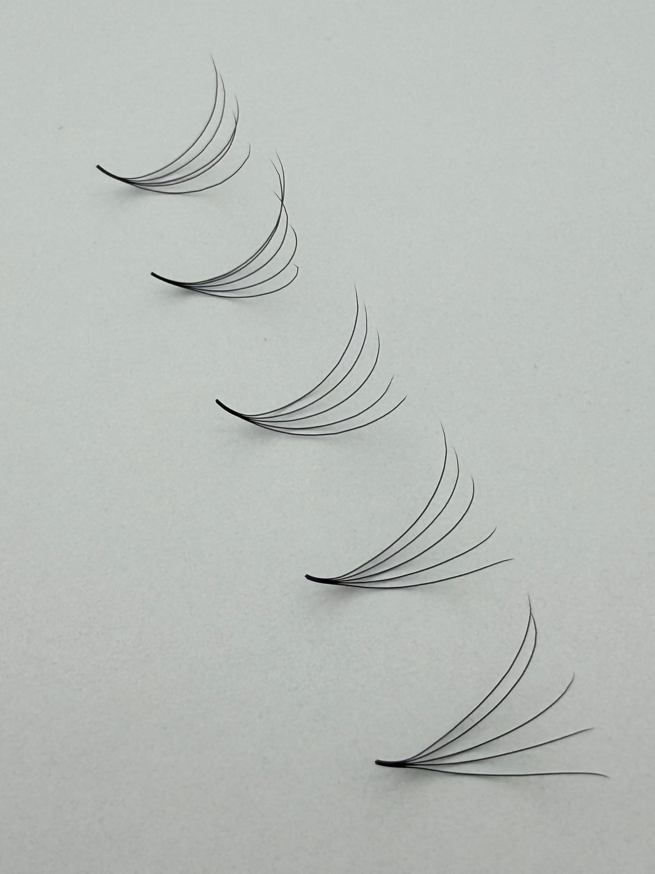 5D Promade Fans Mix Lengths (8mm-15mm) 1000 Fans