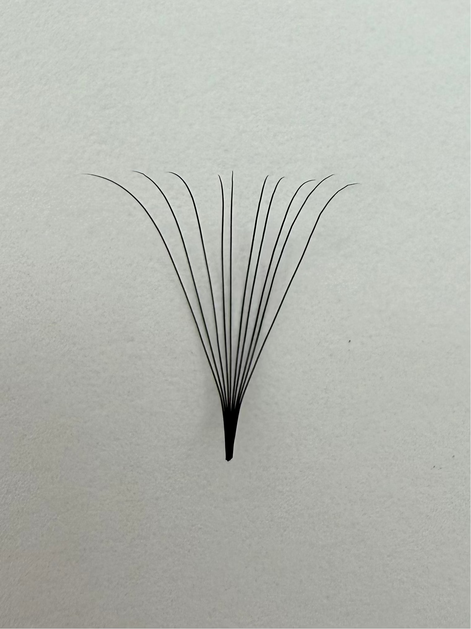 10D Promade Fans Mix Lengths (8mm-15mm) 1000 Fans