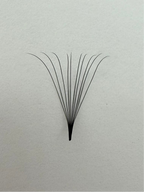 10D Promade Fans Mix Lengths (8mm-15mm) 1000 Fans