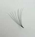 8D Promade Fans Mix Lengths (8mm-15mm) 1000 Fans