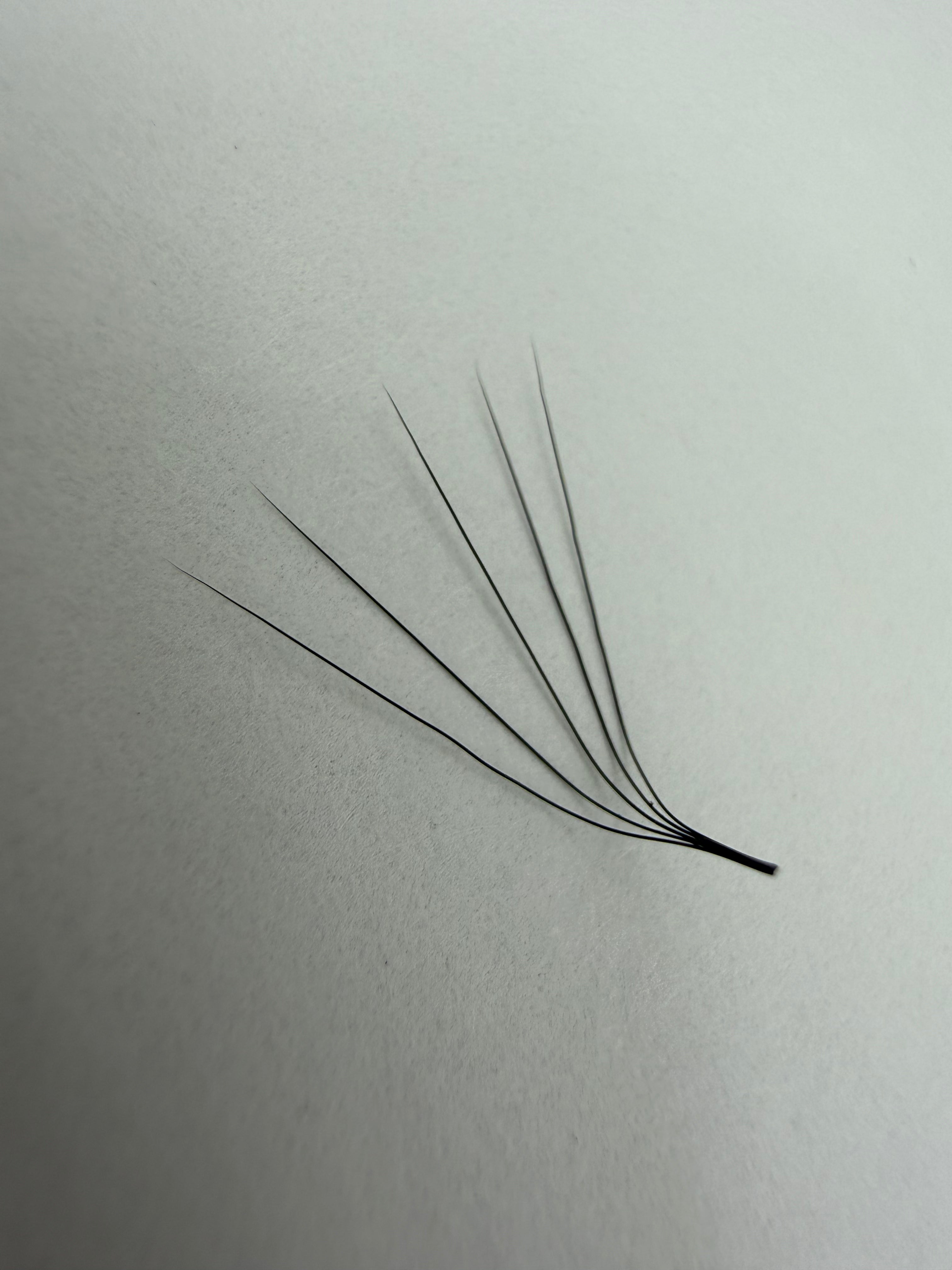 5D Promade Fans Mix Lengths (8mm-15mm) 1000 Fans